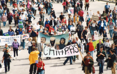 Démonstration de solidarité avec le mouvement zapatiste lors d’une manifestation durant le Sommet des Amériques, Québec, 21 avril 2001