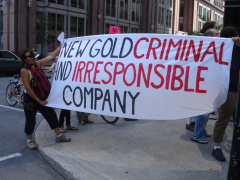 Manifestation contre les mines à ciel ouvert, 22 juillet 2010, DSC09138