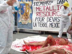 Die in contre les investissements de CIBC dans Metallica ressources, 23 août 2007, Isabel Orellana