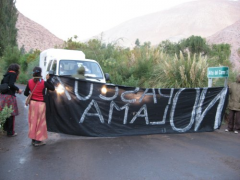 Manifestation contre Pascua Lama,1